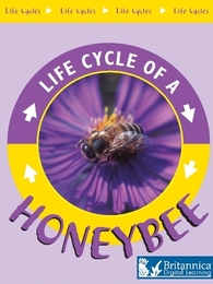 Honeybee, ed. , v. 