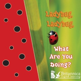Ladybug, Ladybug, What Are You Doing?, ed. , v. 