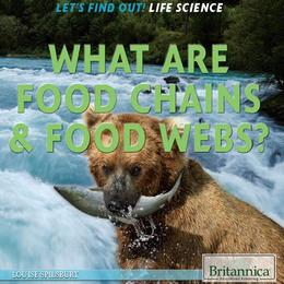 What Are Food Chains & Food Webs?, ed. , v. 