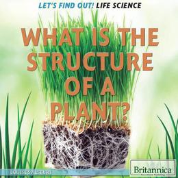 What Is the Structure of a Plant?, ed. , v. 
