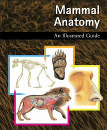 Mammal Anatomy, ed. , v. 