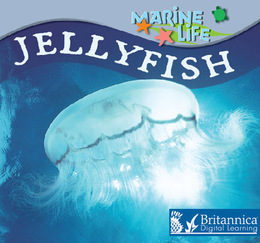 Jellyfish, ed. , v. 