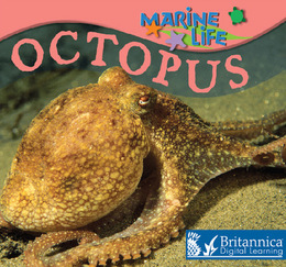 Octopus, ed. , v. 