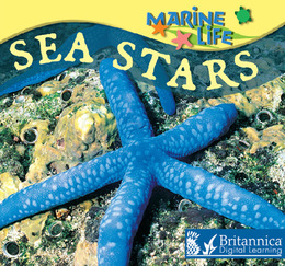 Sea Stars, ed. , v. 