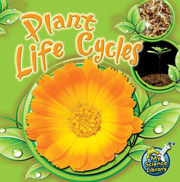 Plant Life Cycles, ed. , v. 