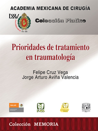 Prioridades de tratamiento en traumatología, ed. , v. 