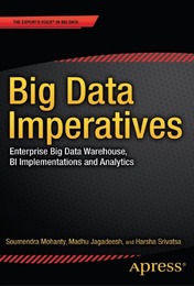 Big Data Imperatives, ed. , v. 