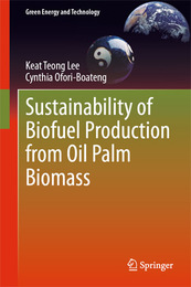 Sustainability of Biofuel Production from Oil Palm Biomass, ed. , v. 