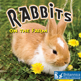 Rabbits on the Farm, ed. , v. 