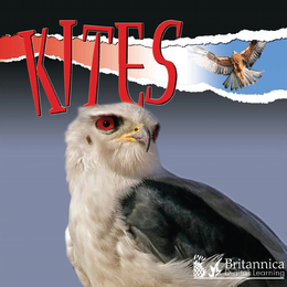 Kites, ed. , v. 