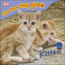 Kitten, ed. , v. 