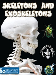 Skeletons and Exoskeletons, ed. , v. 