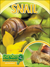 Snail, ed. , v. 