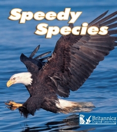 Speedy Species, ed. , v. 