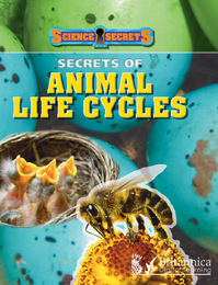 Secrets of Animal Life Cycles, ed. , v. 