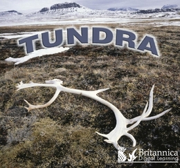 Tundra, ed. , v. 