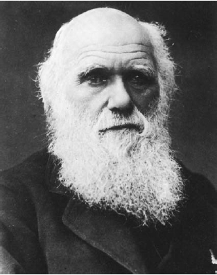 harles Darwins ideas about natural selection formed the basis for the theory of evolution, whi