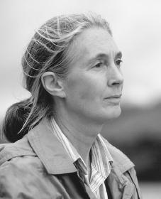 Jane Goodall. Reproduced by permission of the Corbis Corporation.