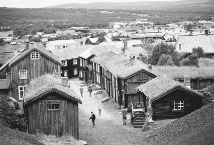 The sod roofs of old houses in Roros, Norway, a mining town founded in 1646. Reproduced by permission of © Richard T. Nowitz/Corbis.