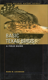 Basic Texas Birds, ed. , v. 
