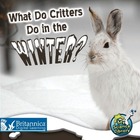 What Do Critters Do in the Winter?, ed. , v. 