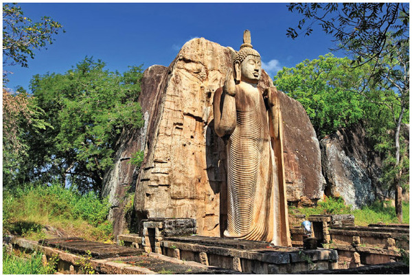 The Avukana Buddha statue is carved in granite and at more than 40 feet in height is the tallest Buddha statue in Sri Lanka. This statue is located near Kekirawa.