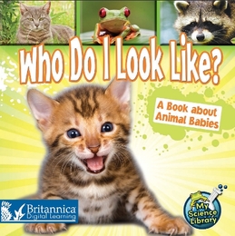 Who Do I Look Like? A Book about Animal Babies, ed. , v. 