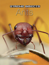 Ants, ed. , v. 