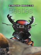 Beetles, ed. , v. 
