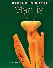 Mantis, ed. , v. 