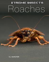 Roaches, ed. , v. 