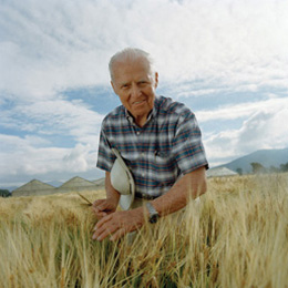 Norman Borlaug, agronomist and 1970 Nobel Peace Prize laureate