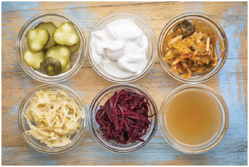 Fermented food great for gut health - from top view: cucumber pickles, coconut milk yogurt, kimchi,...