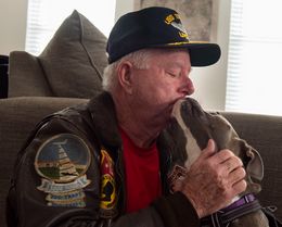Veteran Volunteer Seeks to Help Others Suffering from PTSD with Support Animals
