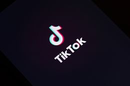 TikTok, a Social Networking Service Favored by Kids, Garnered Negative Attention in 2019